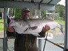 (09/21/2018) - Nice Striped Bass